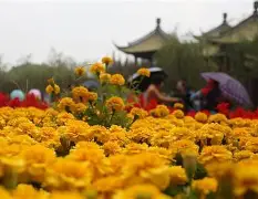 斗鱼娱乐入口-裩衟G傉,駬??oZH３l浼夐fR莰||?瓨l屺嫢虠T?蝚?F夏?呪狛f!駝(圣魔girl汉化)